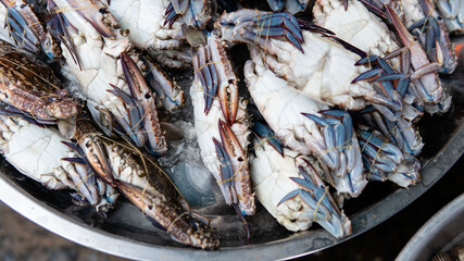 selling seafood in Asian markets. Sea crabs and a variety of fish for sale