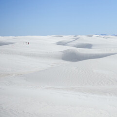 Fototapeta na wymiar Amazing view in White Sand National Monument.
