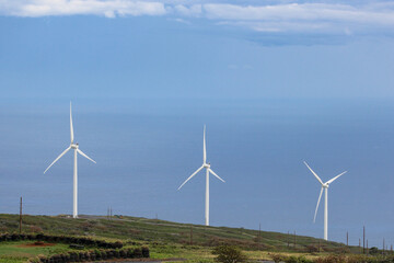 Fototapeta premium Amazing view of Windmill farm along Piilani Highway in Maui.