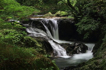 Obraz premium 島根八重滝渓谷 紅葉滝