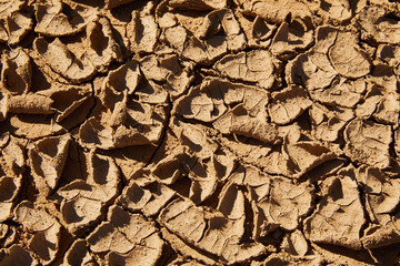 Dry Earth 1