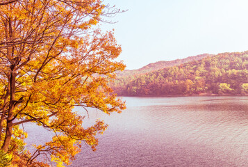 Lake with distant shore covered with lush foliage in fall colors