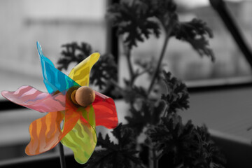 wind propeller toy rainbow color black and white background