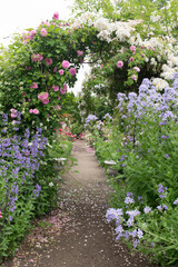 Archway and path way full of roses and a variety of flowers in garden. 