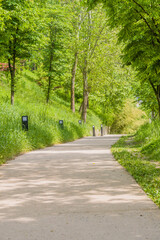 Fototapeta na wymiar walking path in wooded public park