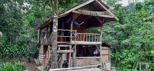 wooden house in the forest