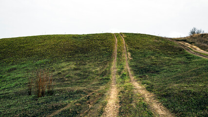 Fototapeta premium Countryside dirt road rising on a hill, natural landscape. Young green grass grows on a burnt-out field.