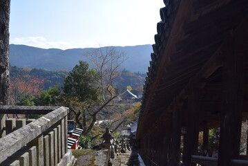 長谷寺舞台