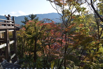 長谷寺舞台