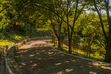 Obraz premium Shaded brick mountain walkway