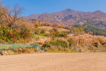 Field next to mountainside in autumn colors