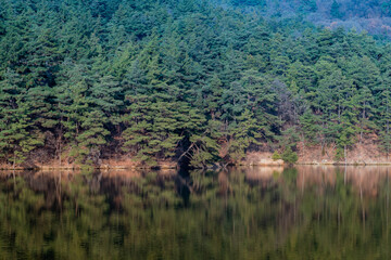 Beautiful lake with  trees reflecting in water.