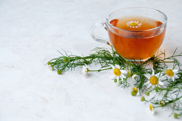 A Cup of chamomile tea and chamomile flowers on the table, space for text