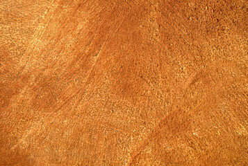 Close view of palm's heart - section view of the core of a palm tree.