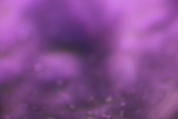 Off focus colorful abstract purple background