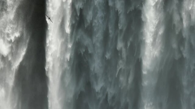 Bids flying in front of slow motion waterfall Skogafoss Iceland