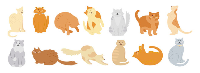 Cat character collection. Cute flat cartoon design set. Different kitty breeds, pet characters. Funny cats sitting, sleeping. Different colors, stripes spots. Hand drawn isolated vector illustration