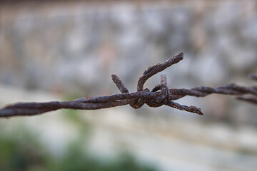This unique photo shows the great structure of an old rusty barbed wire in close-up! the picture was taken in thailand