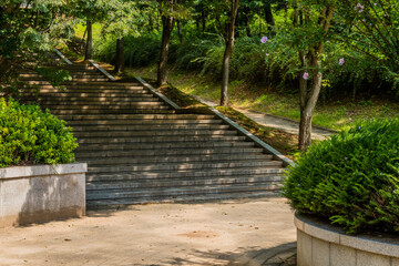 Obraz premium Concrete stairs in woodland park.