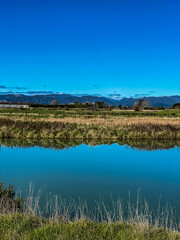 Motu Trail Cycle Way on the eastern Bay of Plenty/Eastland region of New Zealand, Opotiki.