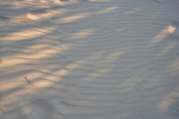 This unique photo shows the sand structure on a beach in Thailand with sunlight and shade. the picture was taken at noon.