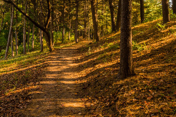 Hiking trail in public park