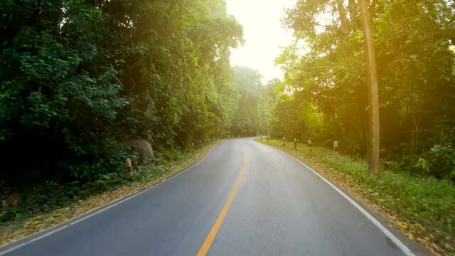 Car driving on winding countryside road in the deep tropical rain forest