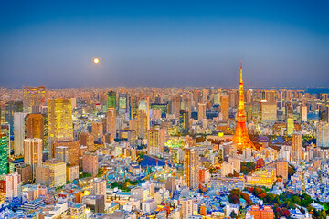 Famous Japanese Destinations. Amazing Picturesque Tokyo Skyline at Blue Hour in Japan with Tokyo Tower in Foreground.