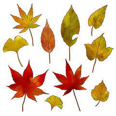 秋の紅葉の葉っぱのイラスト素材（濃いめ）