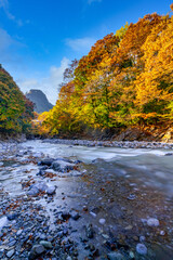 【東京都 奥多摩】駅近の渓谷から見える紅葉