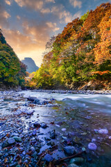 【東京都 奥多摩】駅近の渓谷から見える紅葉