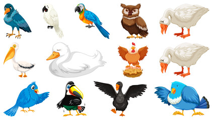 Set of different birds cartoon style isolated on white background