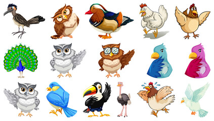 Obraz premium Set of different birds cartoon style isolated on white background