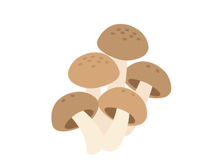 きのこ6　しめじ　シメジ