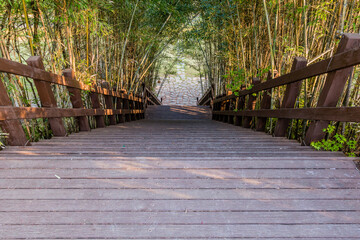 Wooden stairway at local park