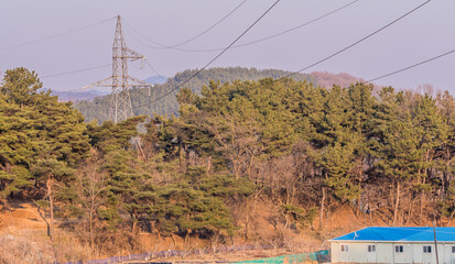 Electrical tower in the woods