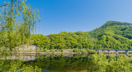 Fototapeta na wymiar Lush green trees reflecting in a river