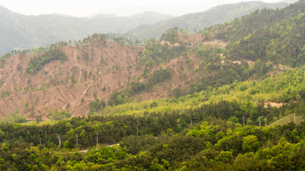 Side of a mountain devoid of trees