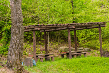 Picnic tables in secluded woodland park