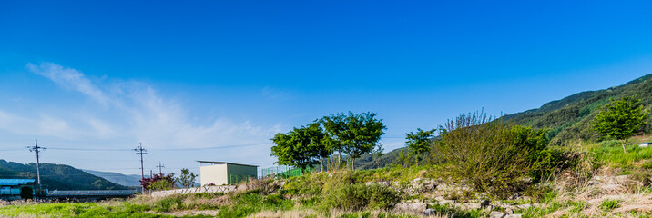 Panoramic view of rocky ground with bushes and a few trees