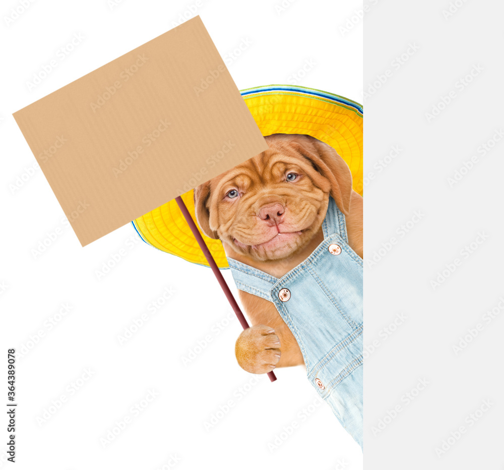 Aufkleber smiling puppy farmer wearing summer hat and overalls holds empty placard and looks from behind white