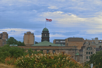 Flag of McGill university flies in the air in a windy day with a background of cloudy blue sky and a foreground of a garden