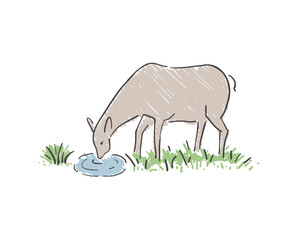 Design of doe drinking water