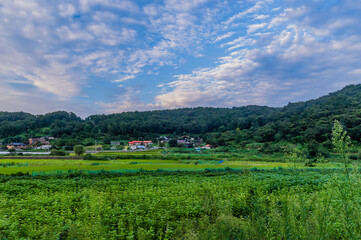 Fototapeta na wymiar Farming community under a blue sky filled with puffy white clouds.