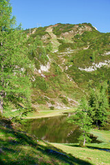 Fototapeta na wymiar in the mountains, Tauplitzal in styria