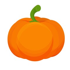 Ripe pumpkin, orange colorful isolated on white background stock vector illustration