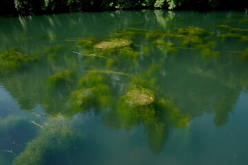 藻と湖