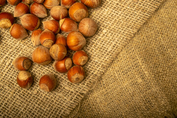 Hazelnut scattered on the background of burlap with a rough texture. Close up.