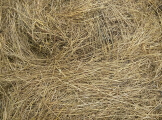 straw bale background