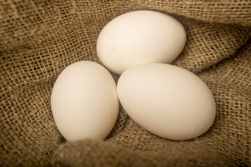 White chicken eggs on a background of homespun fabric with a rough texture. Close up.